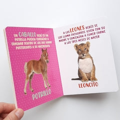 Colección Mis maravillosos sentidos - Aparicio Distributors, Inc.