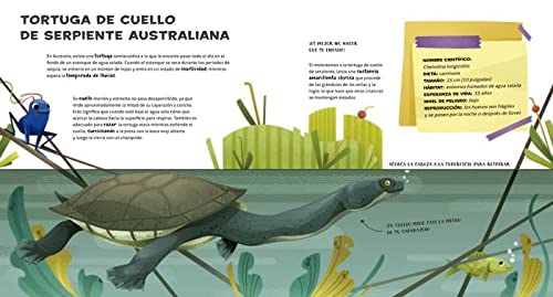 El increíble catálgo de los reptiles más extraordinarios