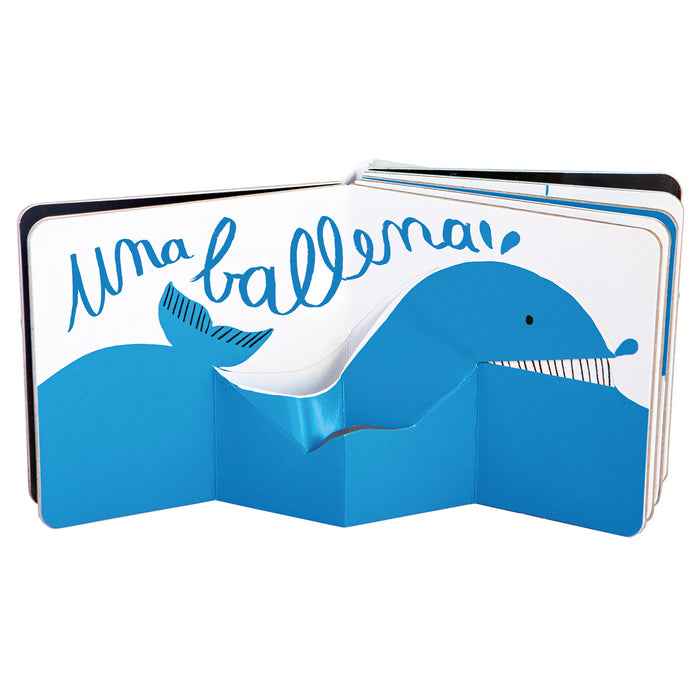 Colección Mini-Pop: Naranja Pop, Azul Pop, Rojo Pop, Rosa Pop, Amarillo Pop, Verde Pop