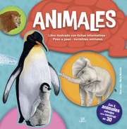 Colección: Kit de Construcción (Animales, Cuerpo Humano, Dinosaurios y Unicornios) - Aparicio Distributors, Inc.