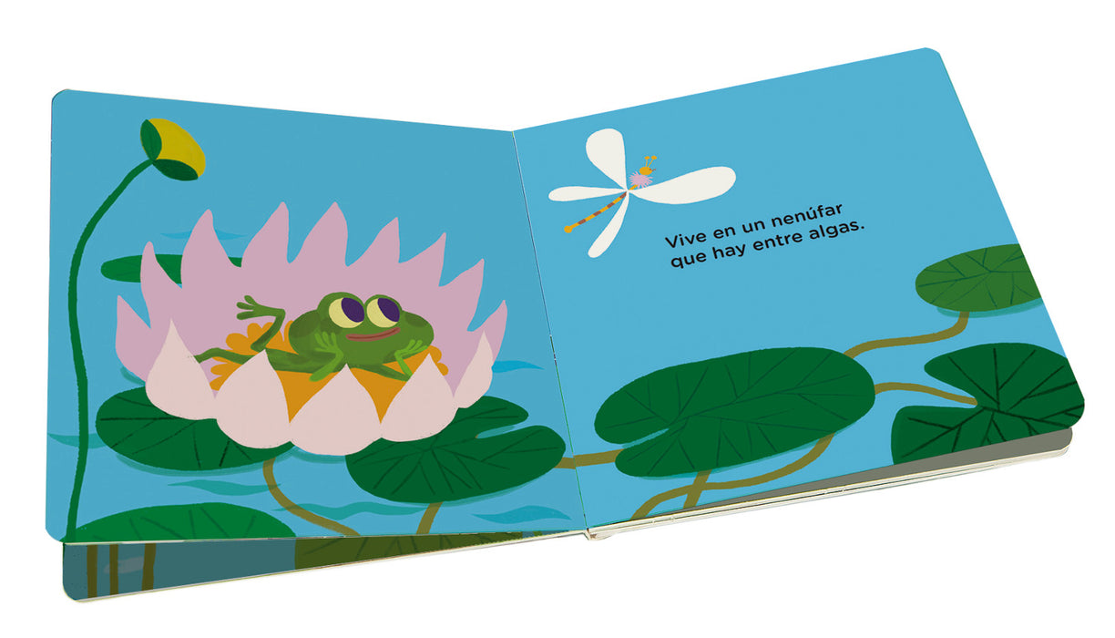 Colección Casas: La casa de pajarito, La casa de caracol, La casa de rana