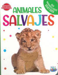 Colección Mis maravillosos sentidos - Aparicio Distributors, Inc.