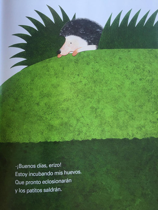 El huevo del erizo - Aparicio Distributors, Inc.