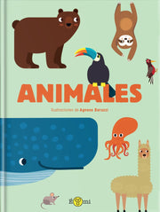 Colección Conceptos - Aparicio Distributors, Inc.