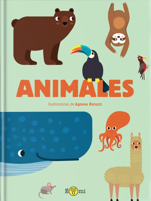 Colección Conceptos