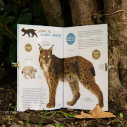 Animalitos El Lince - Aparicio Distributors, Inc.