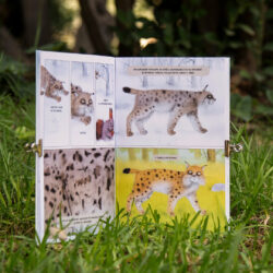 Animalitos El Lince - Aparicio Distributors, Inc.