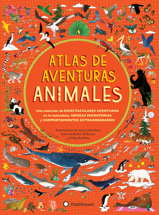 Atlas de aventuras: Una serie para lectores inquietos donde aprender y divertirse van de la mano