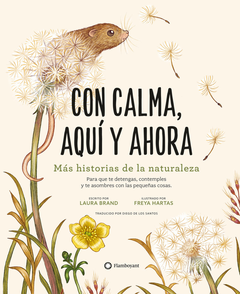 Con calma, aquí y ahora - Aparicio Distributors, Inc.