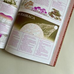 Hongos: noticiero completo del mundo de los hongos