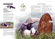 Colección: Animales extraordinarios - Aparicio Distributors, Inc.