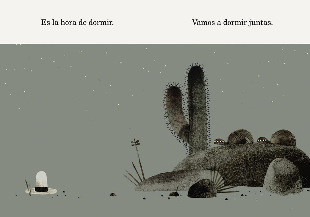 Dos tortugas y un sombrero