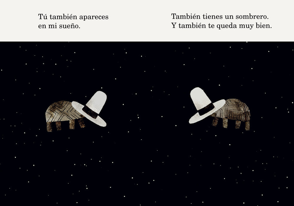 Dos tortugas y un sombrero