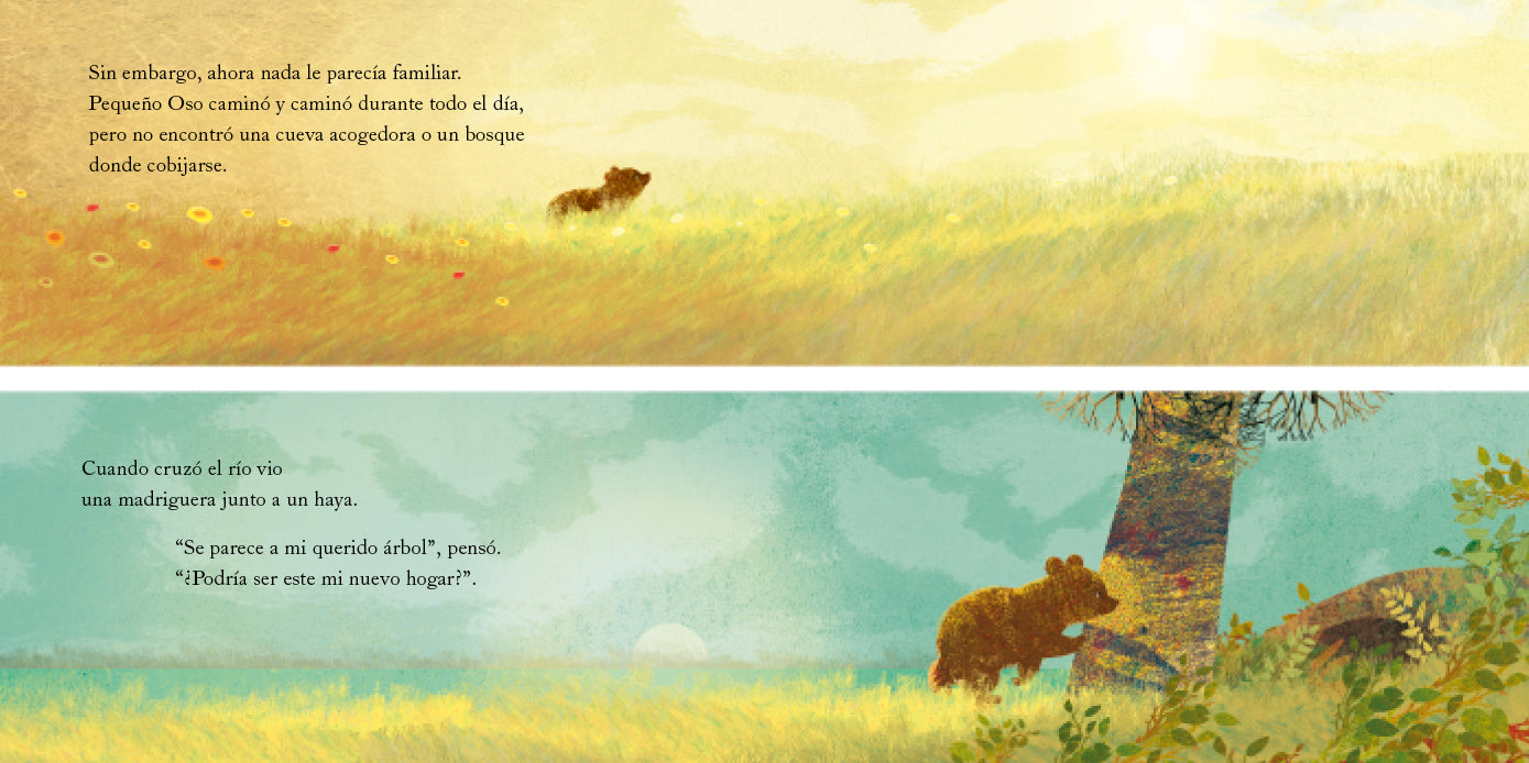 Un hogar para Pequeño Oso
