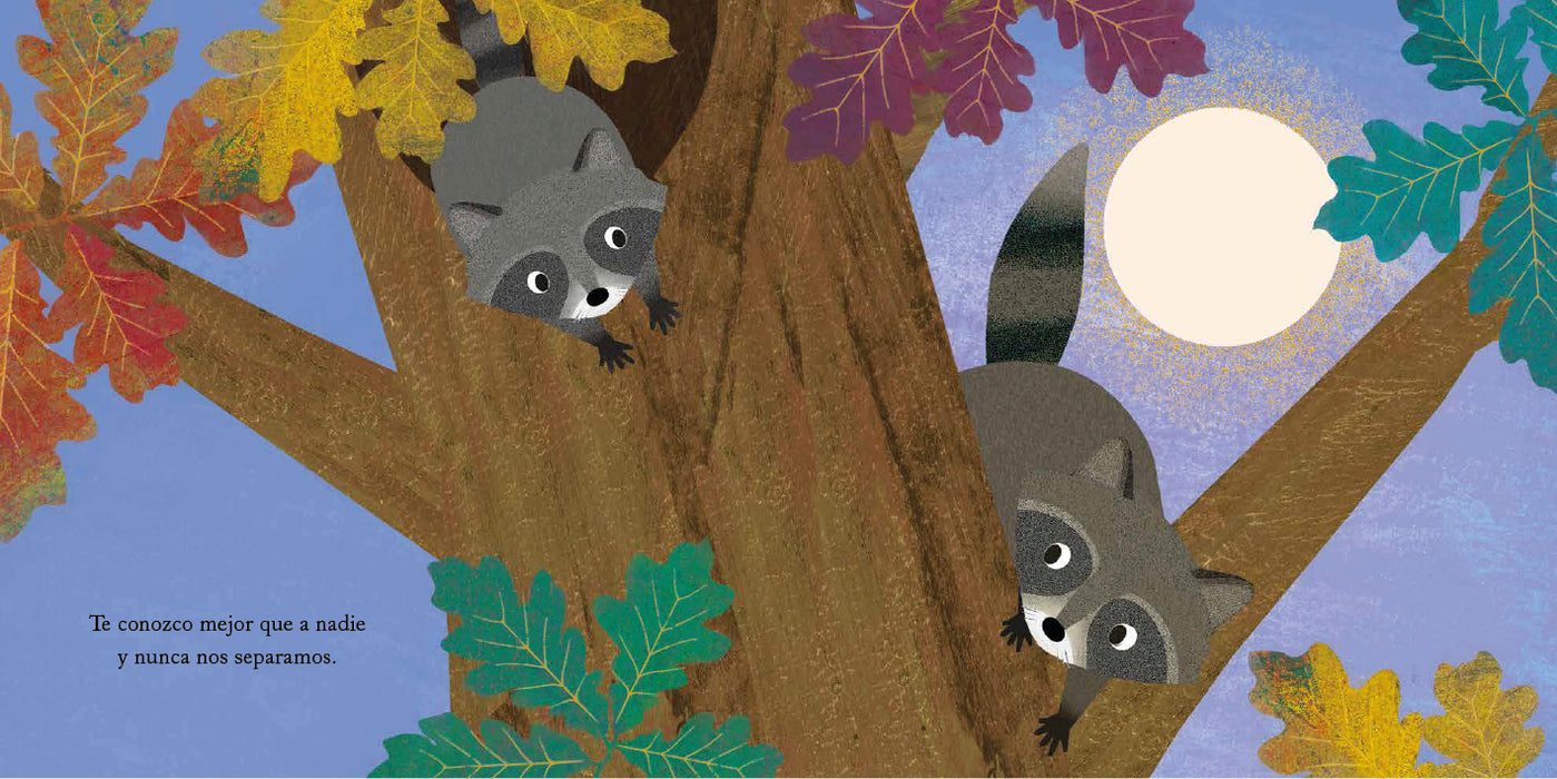 Colección: Mi abuelo y yo, Mi abuela y yo, Mi hermano y yo, Mi hermana y yo