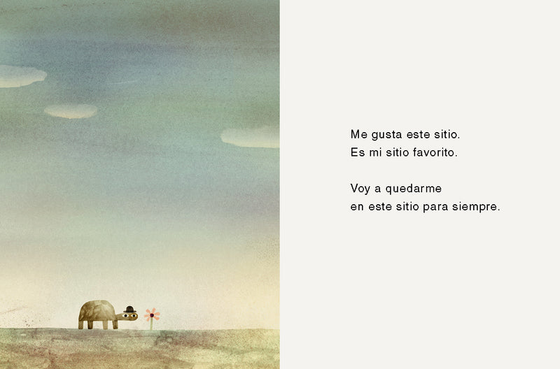 La roca del cielo