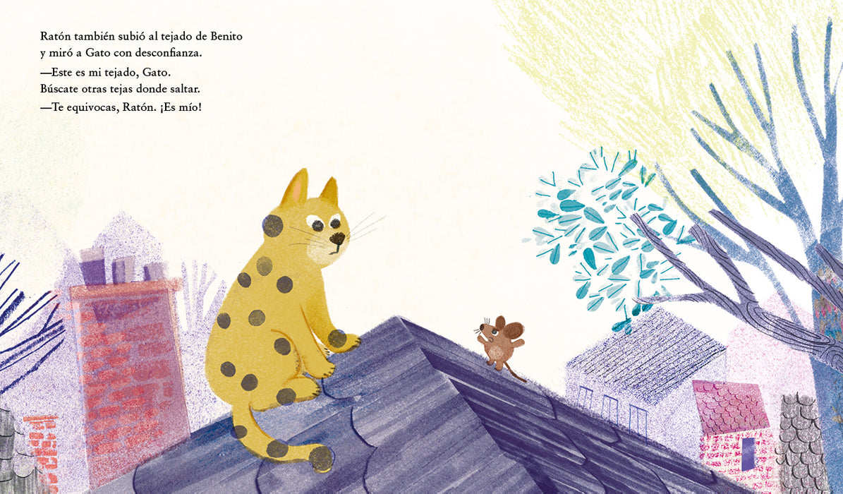 El tejado de Benito