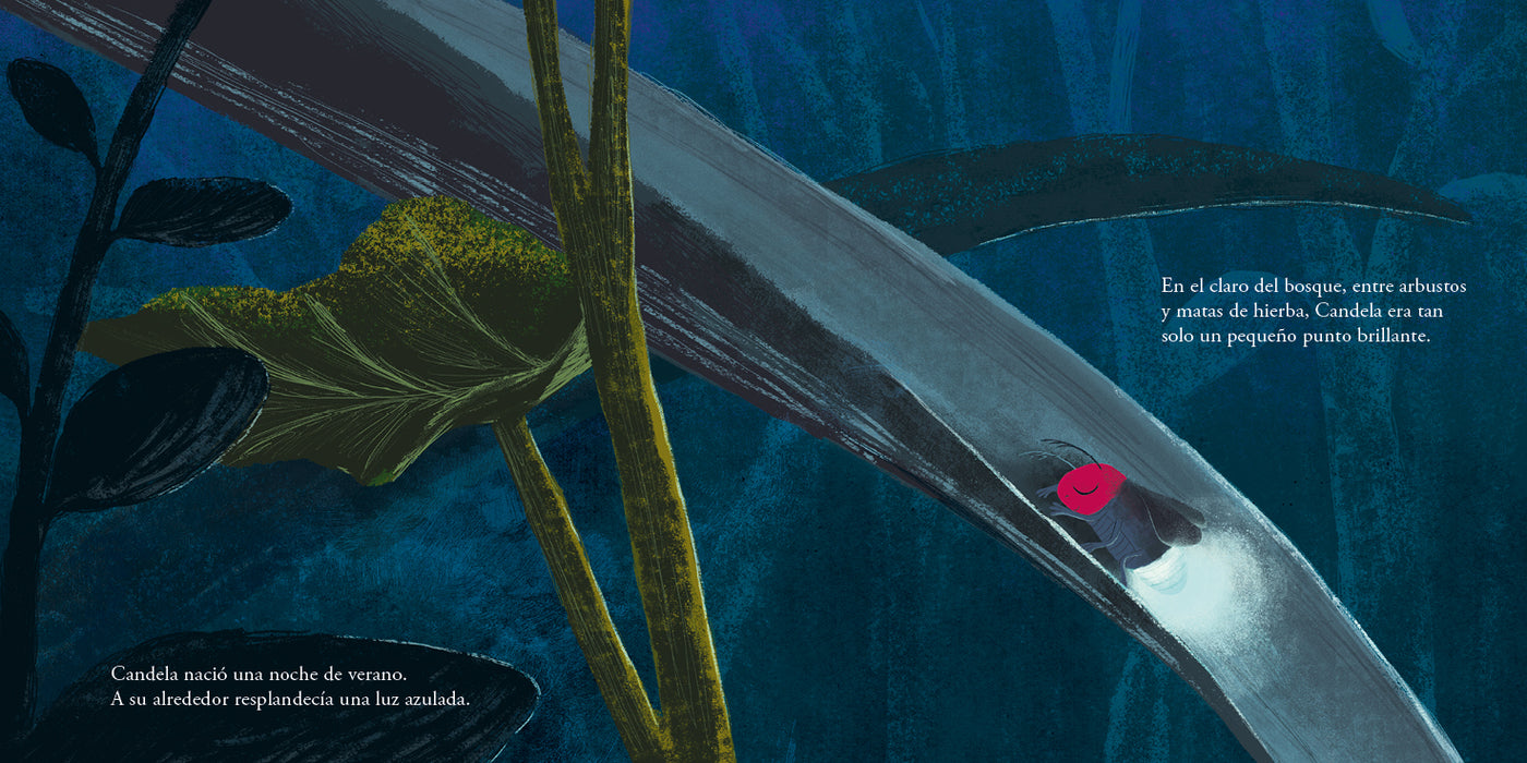 El viaje de candela