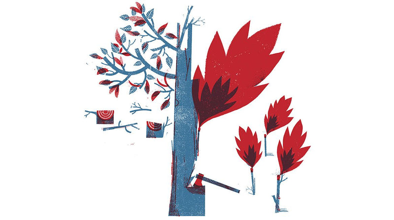 Pensamiento crítico ilustrado