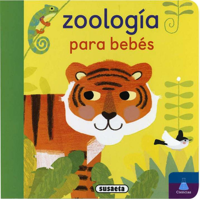 Colección: Educabebés