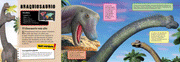 Colección: Flaps gigantes - Aparicio Distributors, Inc.