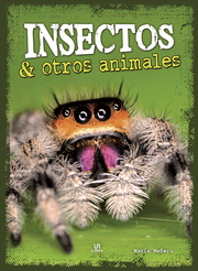 Colección: Monstruos Extremos - Aparicio Distributors, Inc.