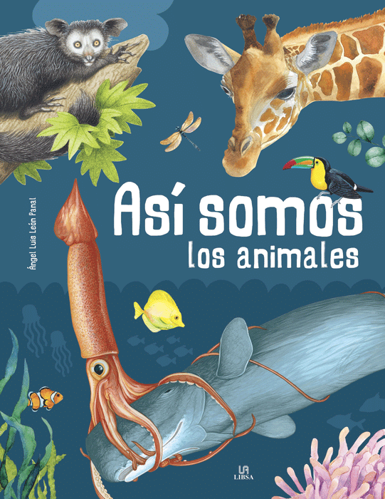Colección: Animalia