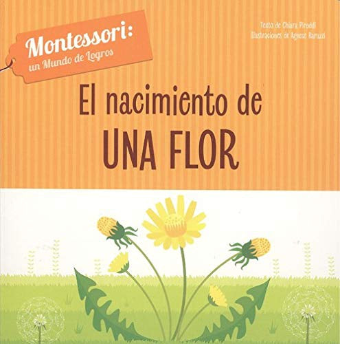 Montessori: Un mundo de logros (Todo cartón) - Aparicio Distributors, Inc.