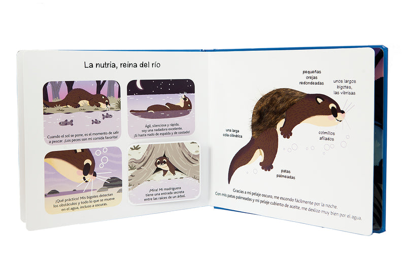Los animales nocturnos - Aparicio Distributors, Inc.