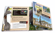 Colección: Flaps gigantes - Aparicio Distributors, Inc.