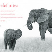 Contar leones - Aparicio Distributors, Inc.