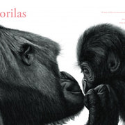 Contar leones - Aparicio Distributors, Inc.