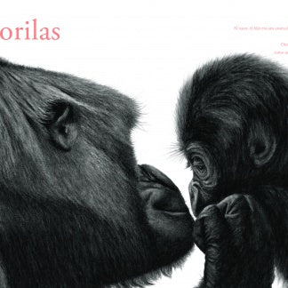 Contar leones - Aparicio Distributors, Inc.