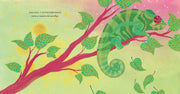 Colección Arcoíris: Blanco, Violeta, Azul, Verde, Rojo, Naranja, Amarillo - Aparicio Distributors, Inc.