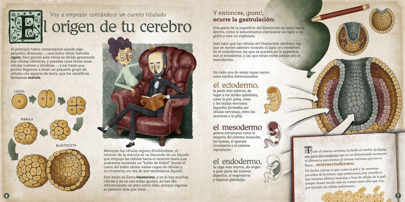 El cerebro humano. Explicado por Dr. Santiago Ramón y Cajal - Aparicio Distributors, Inc.