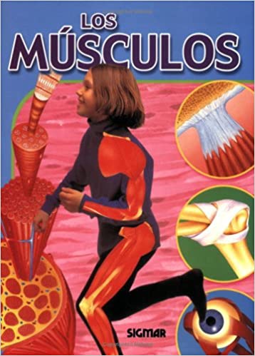Los músculos - Aparicio Distributors, Inc.