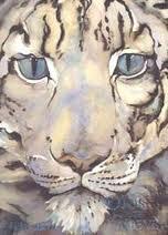 Ojos de nieve - Aparicio Distributors, Inc.